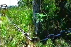 FOTOS (181) � IMAGEN FOTOGRAFIA